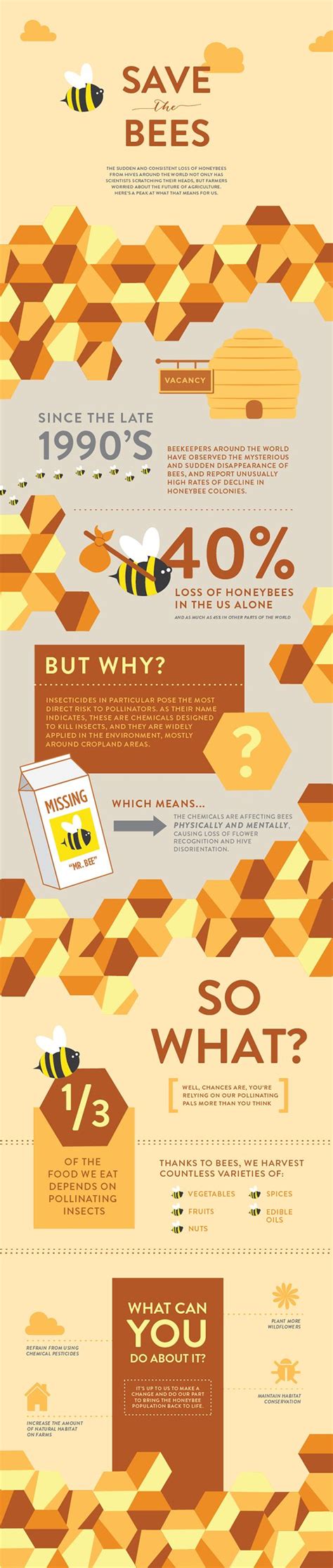 Infographic Showing The Importance Of Bees And How To Prevent Their