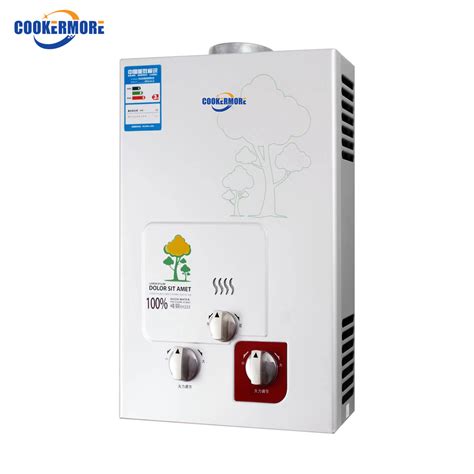 Chinese Manufacturer 6L 8L 10L With Raincap Portable Instant Gas Hot Water Heater System