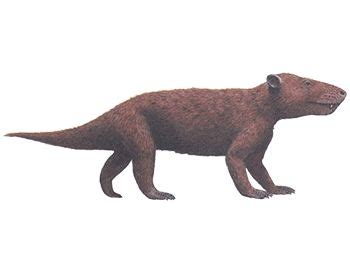 cynognathus | Prehistoric animals, Mammals, Animals