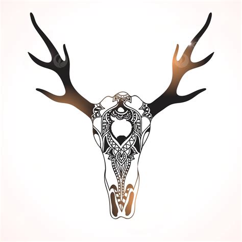 Bohemianstyle Deer Skull Drawing With Decorative Handdrawn Details