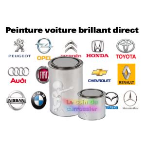 Peinture Voiture Brillant Direct 800 Gr