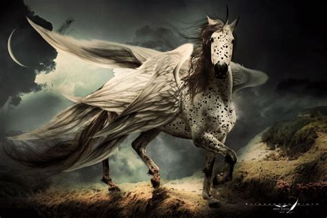 Winged Horse By 35 On Deviantart Fantasy