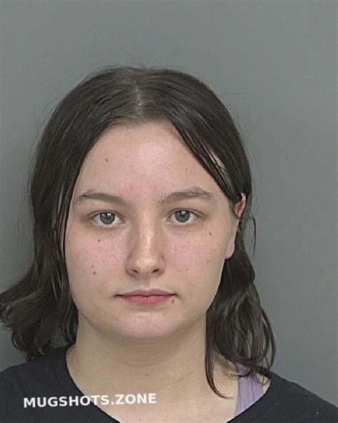 Dillin Autumn Nicole Dubuque County Mugshots Zone