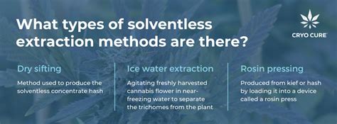 What Is Solventless Extraction? | Cryo Cure