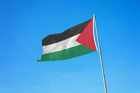 Palestijnse Vlag 100x70 Cm Palestina Vlag Duurzame Vlag Bol