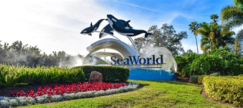 8 Best Hotels Near SeaWorld Orlando | CuddlyNest