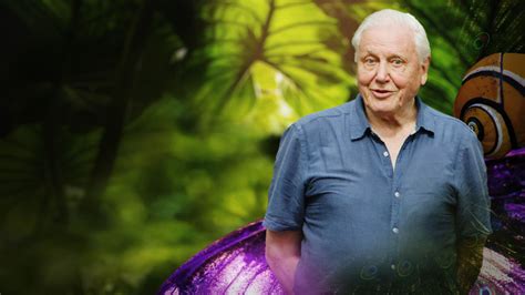 Life In Colour With David Attenborough VRT MAX