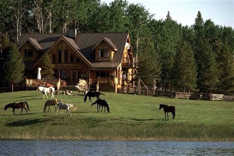 If Only It Was Mine Horse Ranch Ranch House Horses