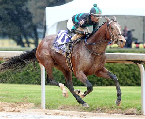 Oaklawn Park Racetrack: Horse Racing News & Schedule Today