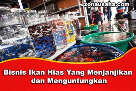 10 Bisnis Ikan Hias Yang Menjanjikan Dan Menguntungkan Zona Usaha