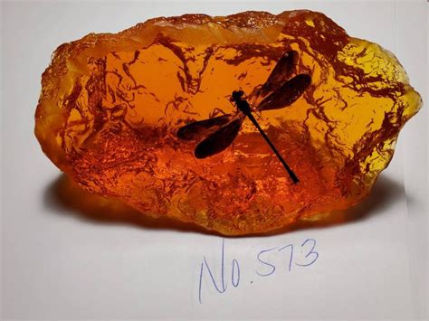 Dragonfly In Amber Resin Size Large Rock For Outlander By Diana