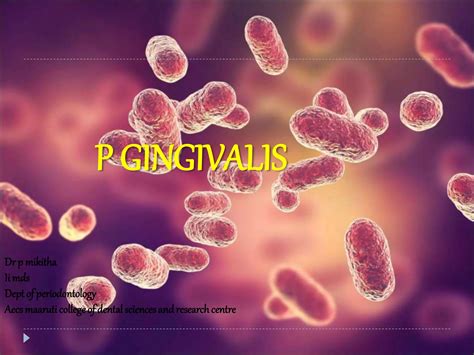 P gingivalis | PPT | Dental Health | Diseases and Conditions 
