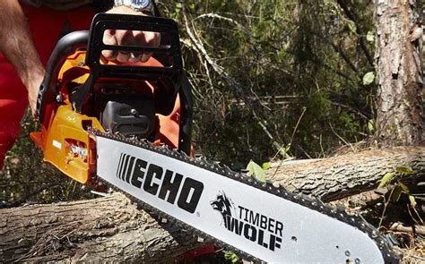 Echo Cs Review Professional Grade Low Maintenance Chainsaw Wezaggle