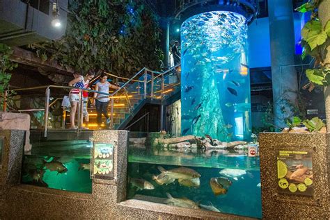 aquaria klcc management   mcguirk blog