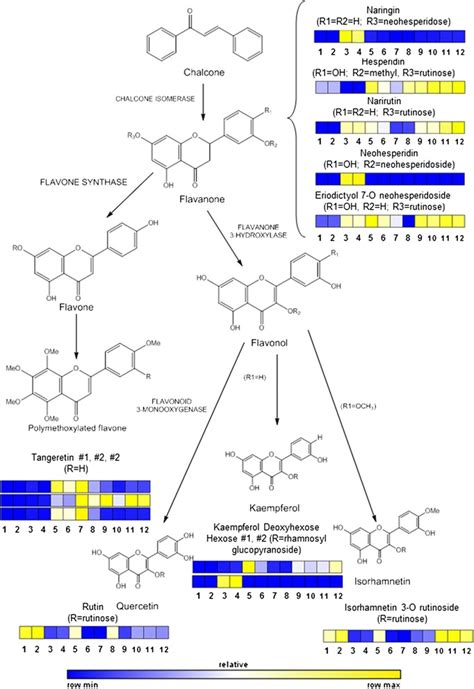 Non Targeted Metabolite Profiling Of Citrus Juices As A Tool For