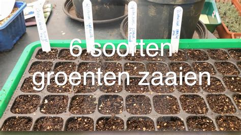 Ini S Moestuin Februari Groenten Zaaien Oa Peulvruchten Sla