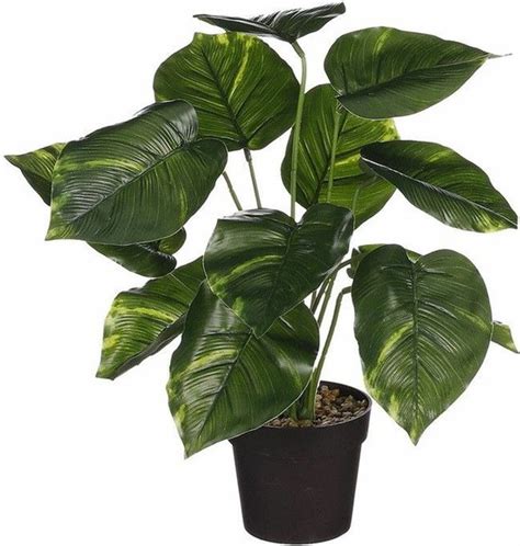 Mica Decoration Kunstplant Philodendron Groen H En D Cm Kamer