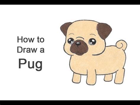 Pug Drawing How To Draw A Pug Step By Step, 60% OFF