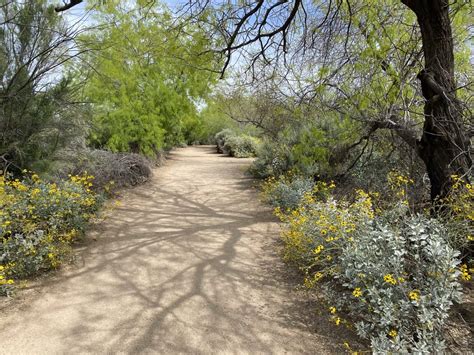 Riparian Preserve in Gilbert - Phoenix With Kids