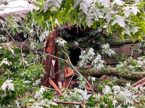 Trees Power Lines Down In Muskegon County After Major Storm