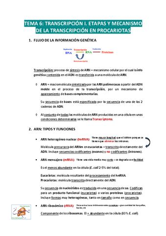 Apuntes De Fundamentos De Electromagnetismo Y Ptica