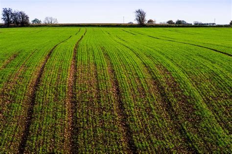 Bioengineering Climate Resilient Crops To Safeguard Global Food