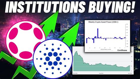 BREAKING Institutional Money Buying Cardano ADA And Polkadot DOT