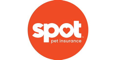 Spot Pet Insurance Refreshes Brand With Love