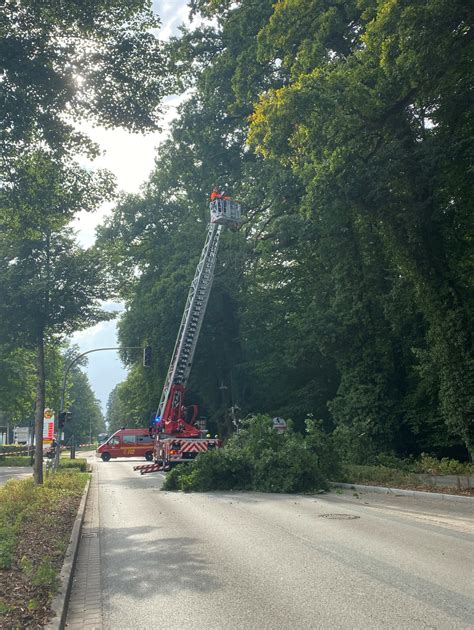 Mehrere abgebrochene große Äste Freiwillige Feuerwehr Harsefeld