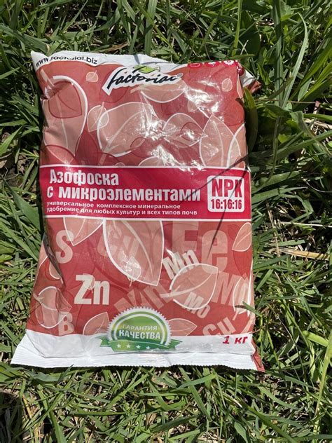 Удобрение Азофоска, минерал с микроэлементами, 1 кг, Factorial в Москве ...