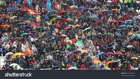 64 Rain Cheerleader Stock Photos, Images & Photography | Shutterstock