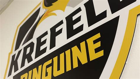 Krefeld Pinguine Dein Verein Krefeld Pinguine