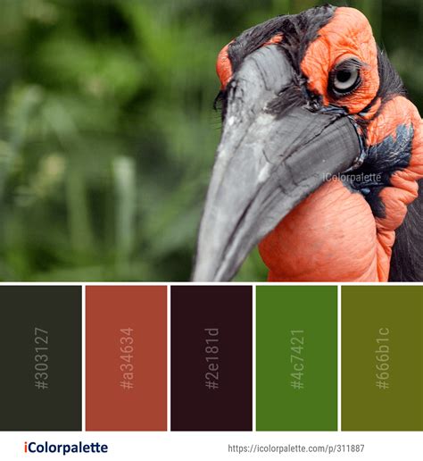 123 Parrot Color Palette ideas in 2022 | iColorpalette