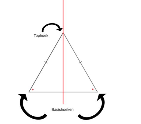 Verschillende Soorten Driehoeken En Het Berekenen Van De Hoeken Oefenen