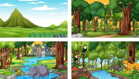 Different nature scenes of forest and rainforest with wild animals 3601248 Vector Art at Vecteezy