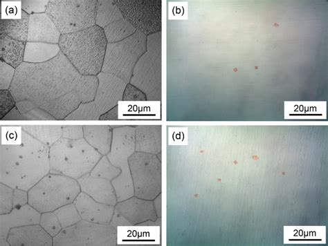 Optical Micrographs Of The Microstructure And Precipitates In The