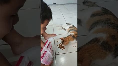 Zafran Ngasih Makan Kucing Youtube