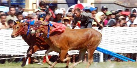 Festival Karapan Sapi Digelar Oktober 2022 Pemkab Bangkalan Antisipasi