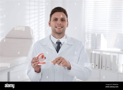 Dentist With Jaws Model And Toothbrush In Clinic Oral Care