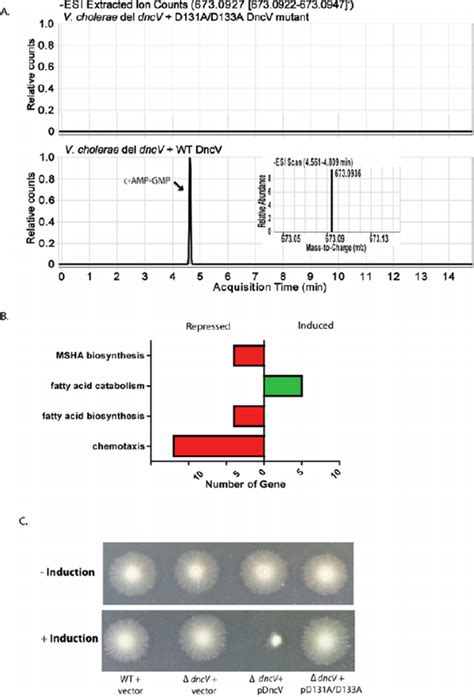 A Lcms Chromatogram Trace Corresponding To The Ion Extraction Of Download Scientific Diagram