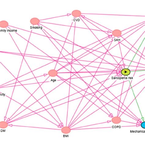 Directed Acyclic Graph Showing The Pathways Between The Risk Of