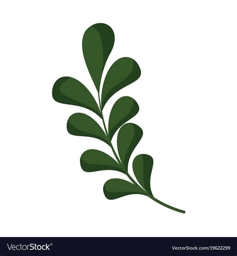 Floral leaves ornament graphic Royalty Free Vector Image