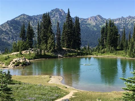 Dewey Lake American Lake — Washington Trails Association