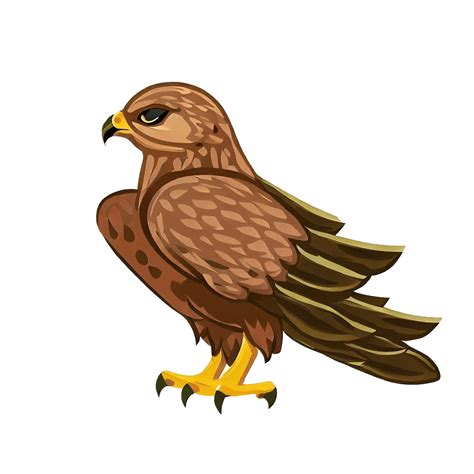 Hawk Clipart Transparent Image Clipartlib