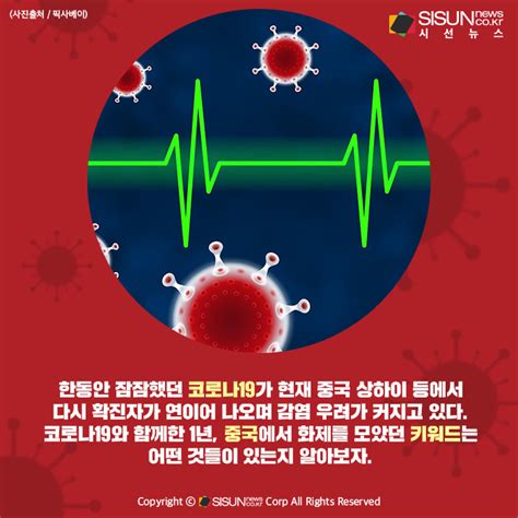 카드뉴스 코로나19와 함께한 1년 중국에서 화제를 모은 키워드는 시선뉴스