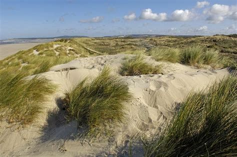 Le Touquet France April Dunes Stock Image Image Of Europe