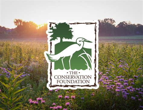 Home The Conservation Foundation