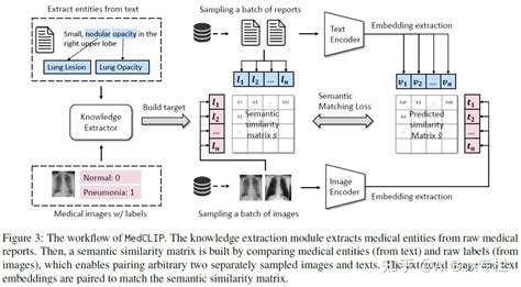 Multimodality In Medical Domain：一文速览医学多模态进展 知乎