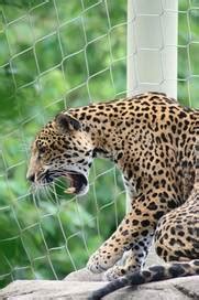 Memphis Zoo in Memphis, TN - Kid-friendly Activities | Trekaroo