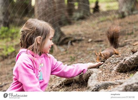 Feeding squirrels #1 Child - a Royalty Free Stock Photo from Photocase